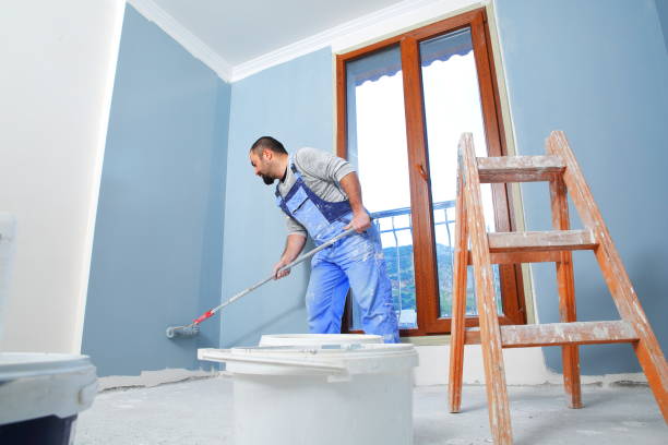 Best Commercial Mold Inspection  in Dassel, MN
