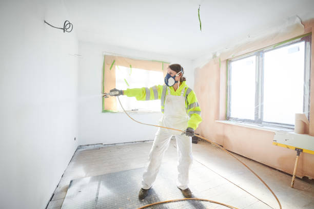 Best HVAC Mold Inspection and Cleaning  in Dassel, MN