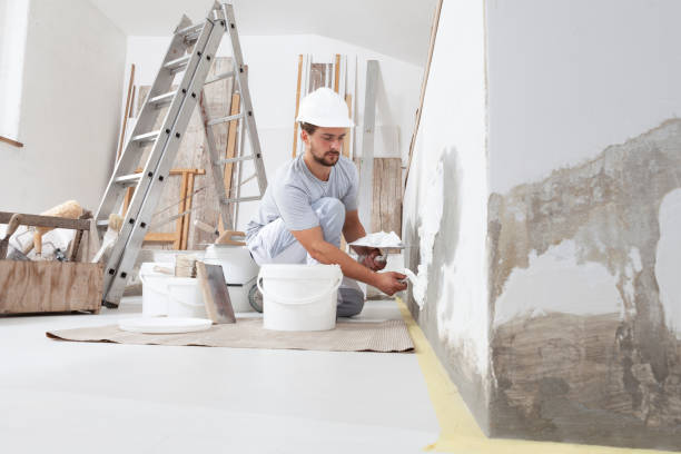 Best Environmental Consulting for Mold Prevention  in Dassel, MN