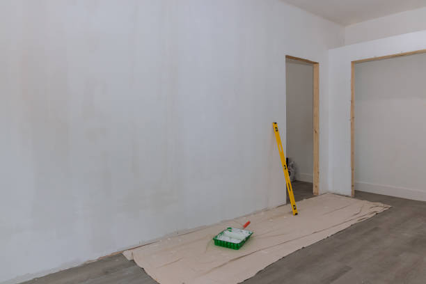Best Mold Documentation for Insurance Claims  in Dassel, MN