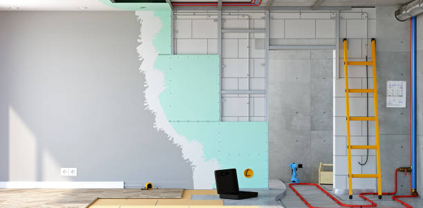 Best Industrial Mold Remediation  in Dassel, MN