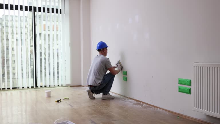 Best Mold Damage Restoration  in Dassel, MN
