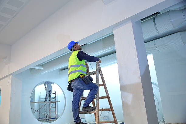 Best Residential Mold Inspection & Testing  in Dassel, MN