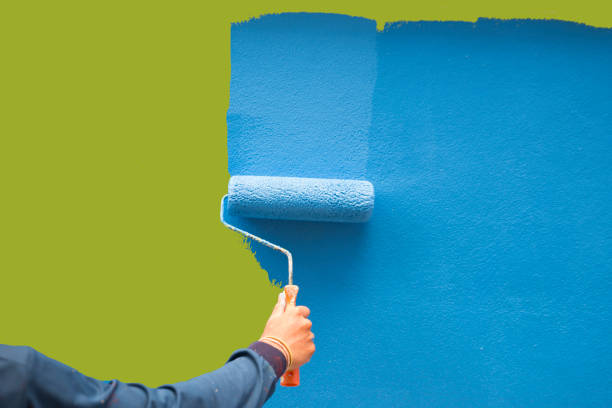 Best Real Estate Mold Inspection  in Dassel, MN