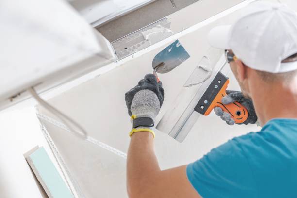 Best Attic Mold Removal  in Dassel, MN